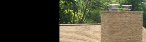 Chimney Services